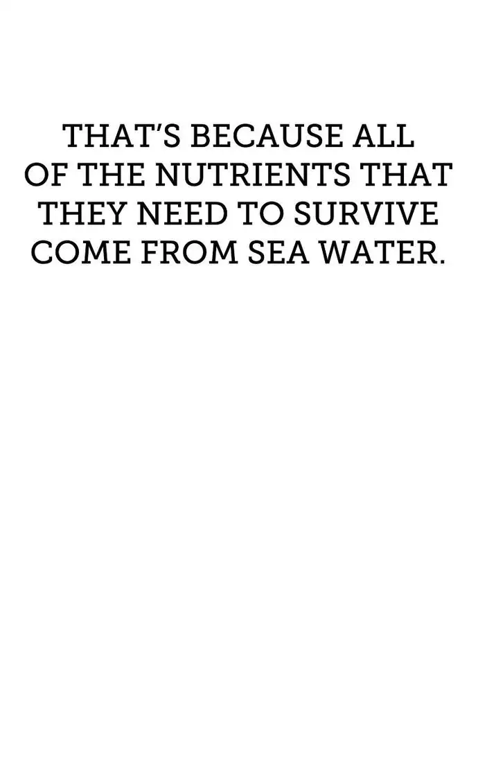 Page 325