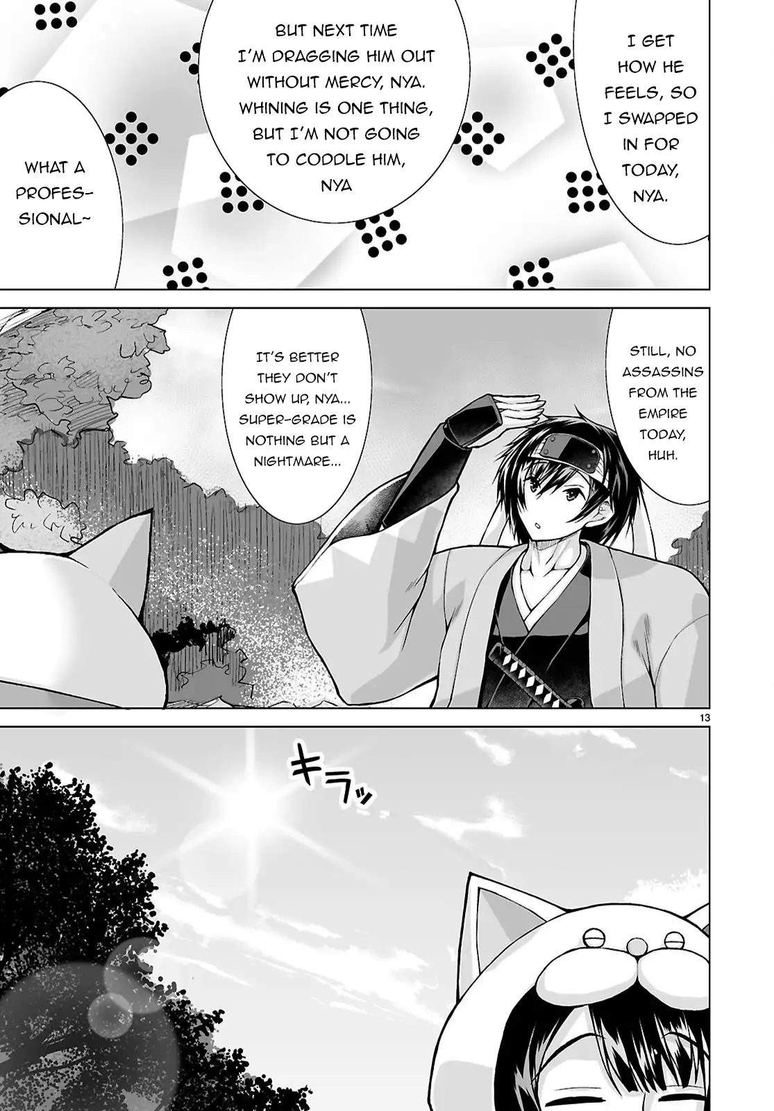 Page 13